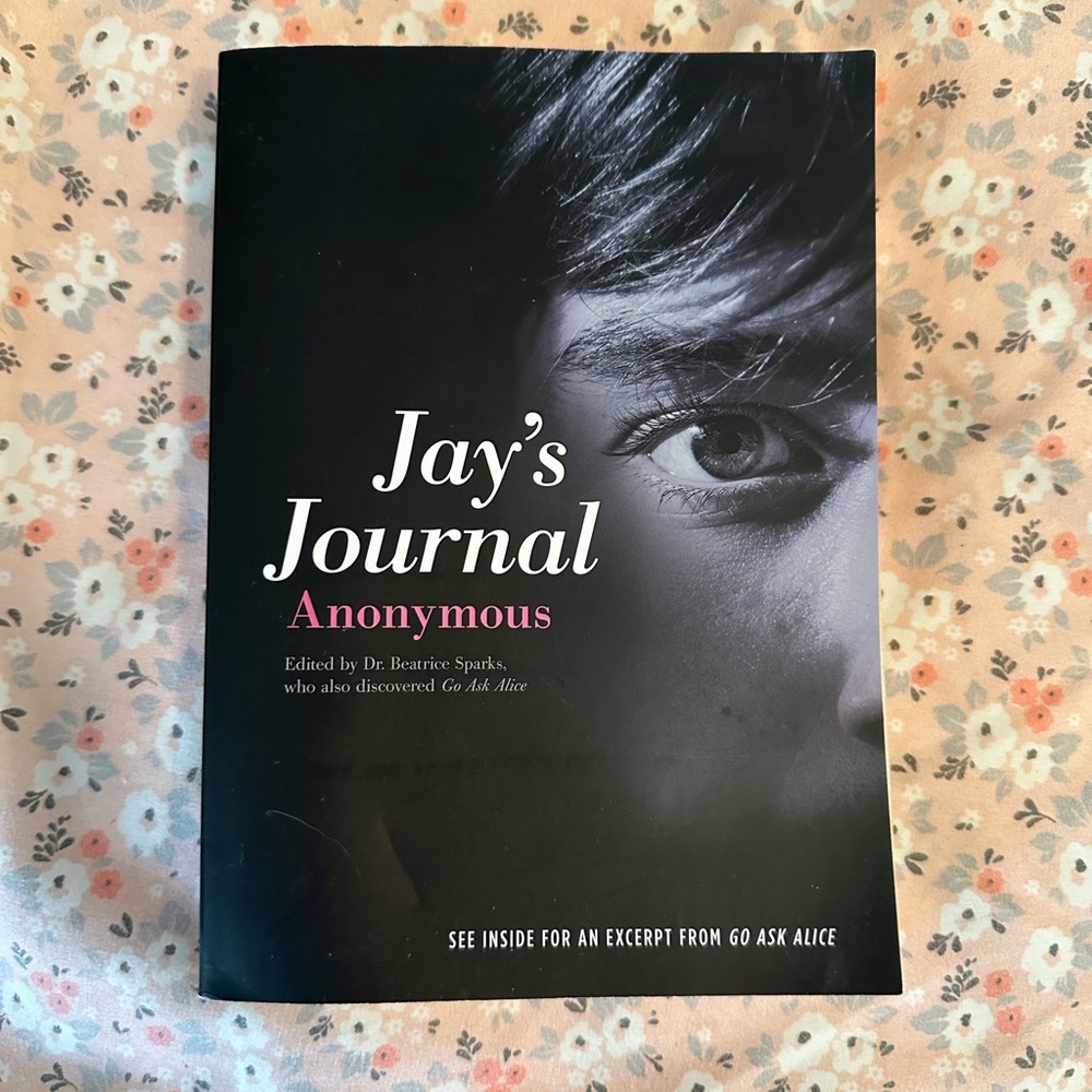 Used Book: Jay’s Journal